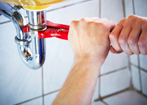 About Eleroy Plumbers